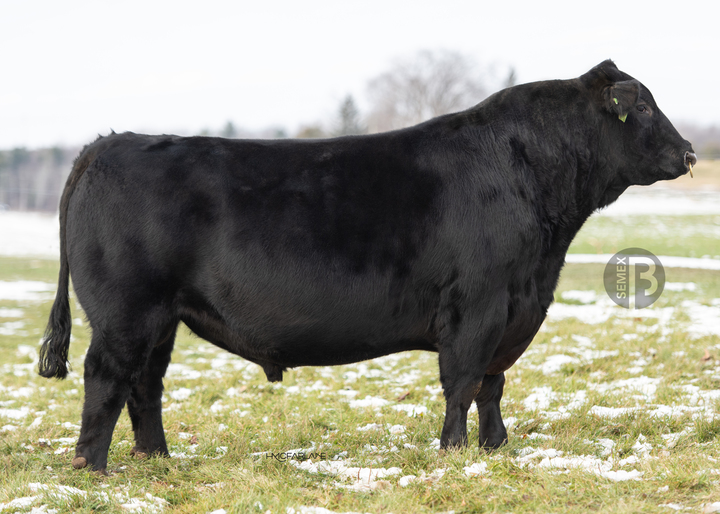 Semex Electrify